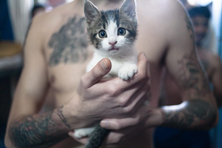 foto ”Bumbata”, copyright Cosmin Bumbuț